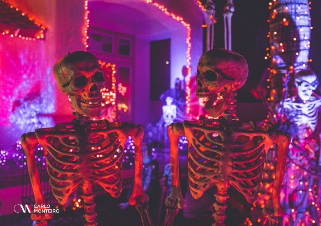 Imagem da notícia: - Halloween Party Decoration